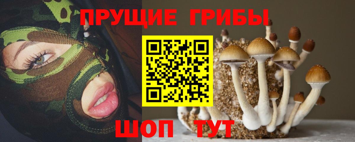 Галлюциногенные грибы Cubensis Сызрань